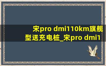 宋pro dmi110km旗舰型送充电桩_宋pro dmi110km旗舰型送充电桩吗